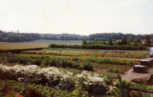 1991