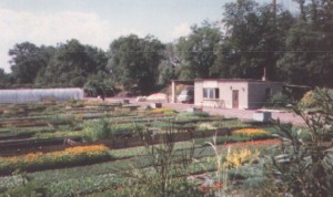 1994