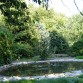 Teichzum (hin) pflanzen