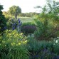 in unserem Garten