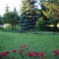 in unserem Garten