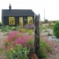 Derek Jarman Garden