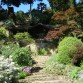 Kiftsgate Court Gardens