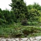 Gartenteich