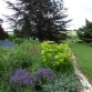 in unserem Garten