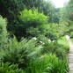Peto Garden