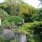 Peto Garden