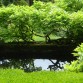 Peto Garden