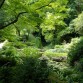 Peto Garden