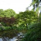 Sezincote Garden