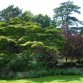 Sezincote Garden