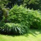 Sezincote Garden