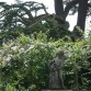 Sudeley Garden