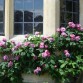 Sudeley Garden